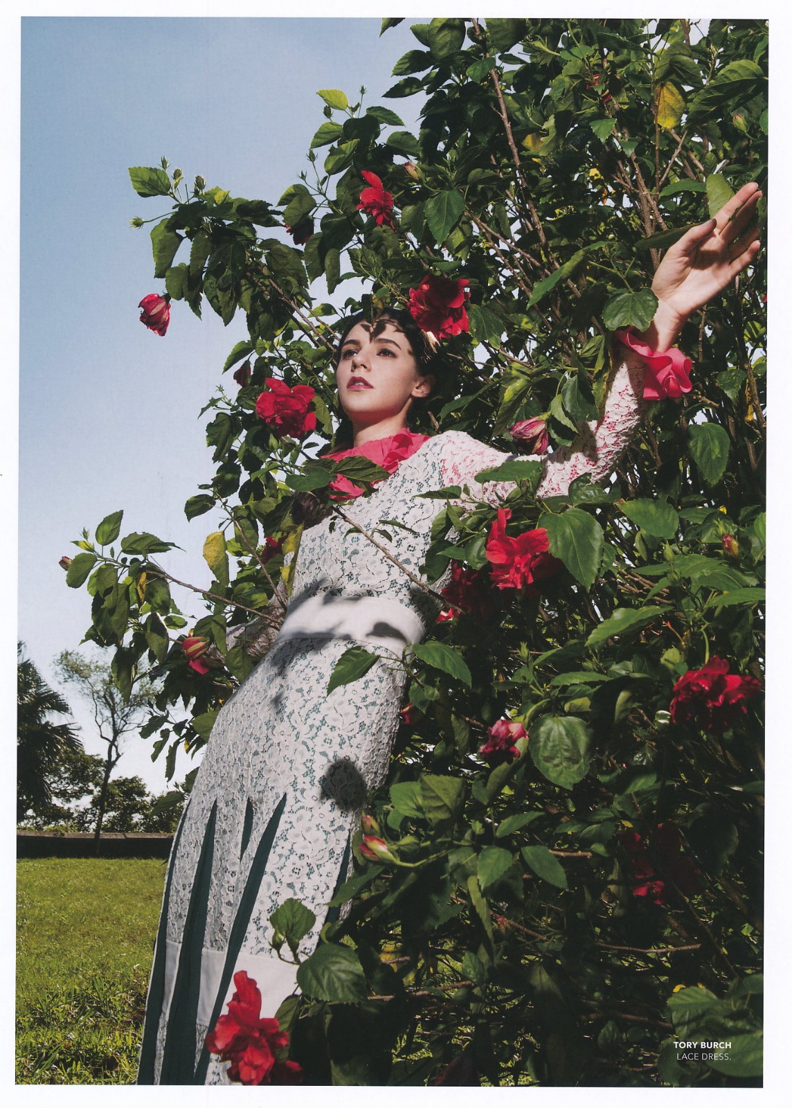 Cover 12